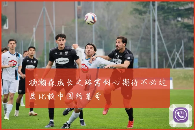 杨瀚森成长之路需耐心期待不必过度比较中国约基奇