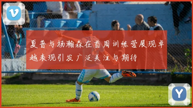 夏普与杨瀚森在首周训练营展现卓越表现引发广泛关注与期待