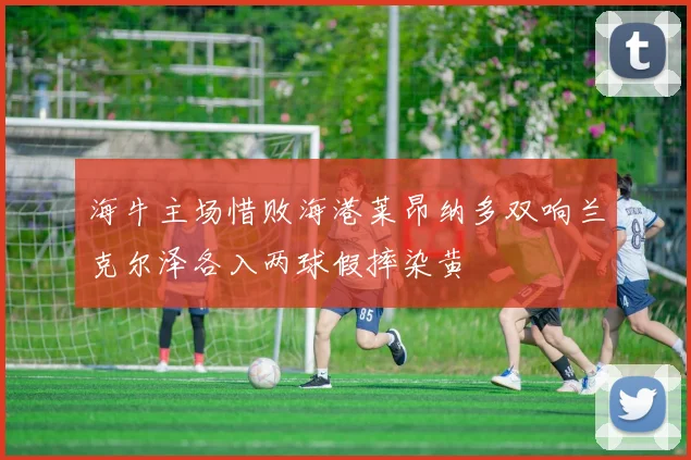 海牛主场惜败海港莱昂纳多双响兰克尔泽各入两球假摔染黄