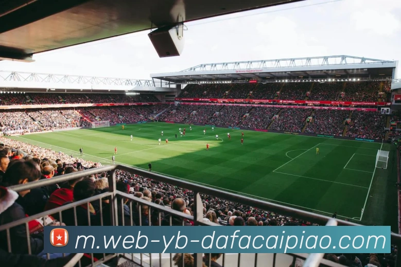 大发彩票发展历程